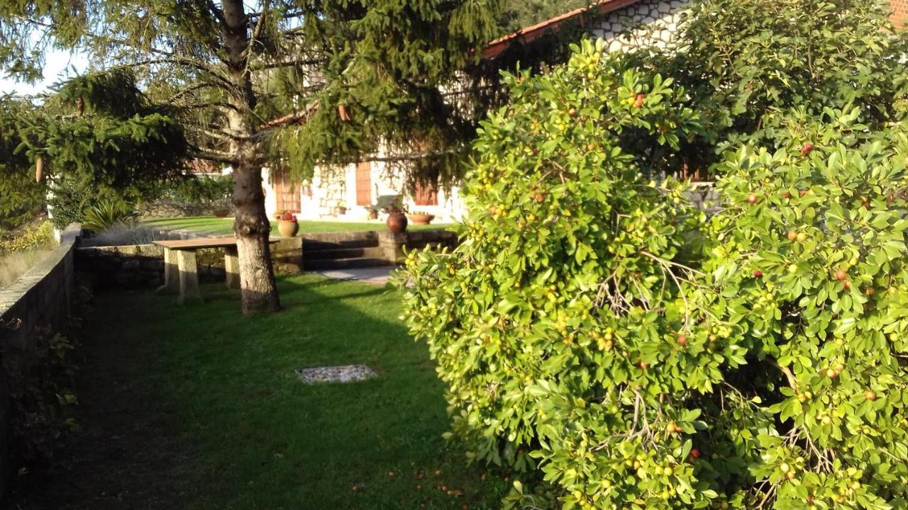 Casa De Crespins Casa De Campo Lda Cristelo  Εξωτερικό φωτογραφία