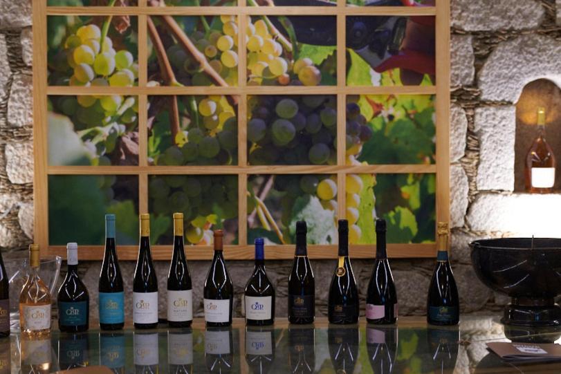 Casa De Crespins Casa De Campo Lda Cristelo  Εξωτερικό φωτογραφία