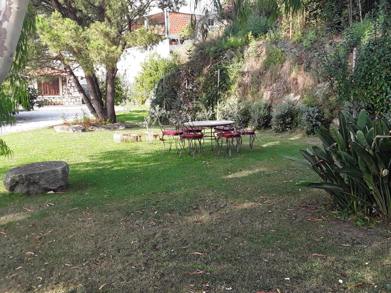 Casa De Crespins Casa De Campo Lda Cristelo  Εξωτερικό φωτογραφία